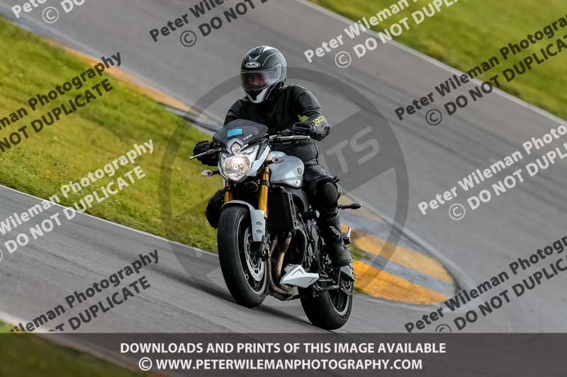 PJ Motorsport 2019;anglesey no limits trackday;anglesey photographs;anglesey trackday photographs;enduro digital images;event digital images;eventdigitalimages;no limits trackdays;peter wileman photography;racing digital images;trac mon;trackday digital images;trackday photos;ty croes